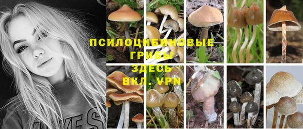 COCAINE Карпинск